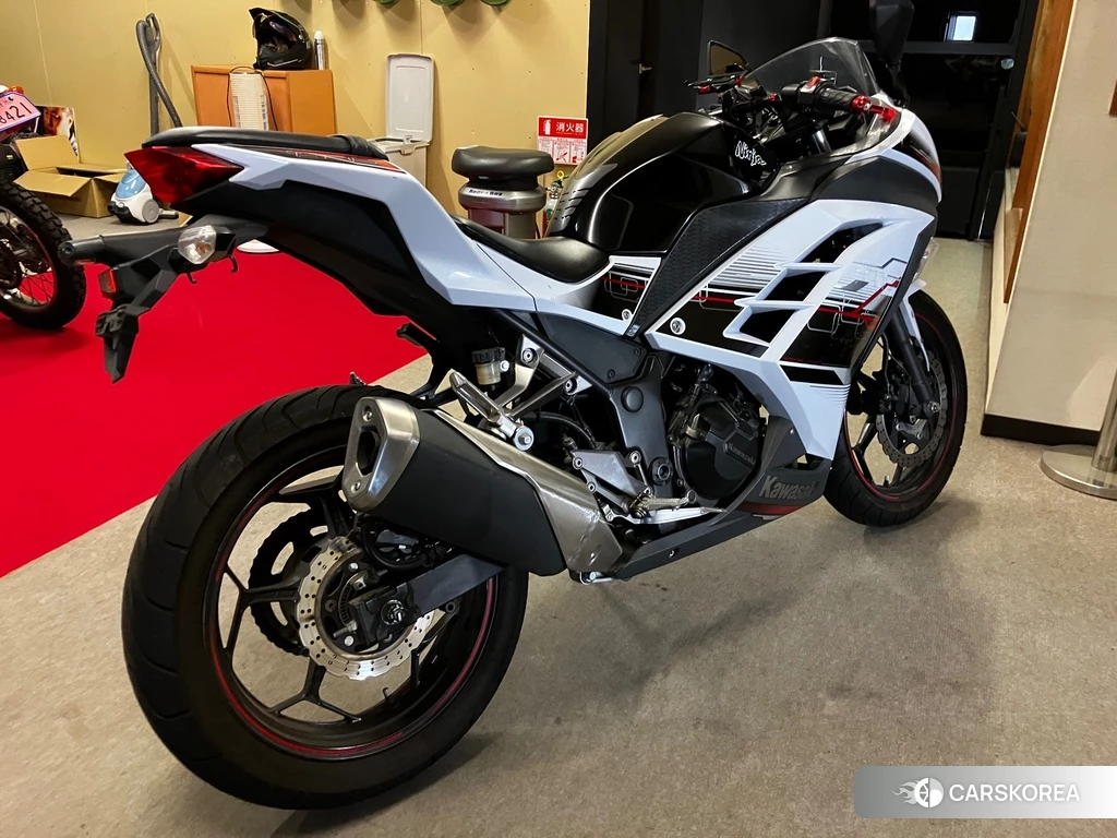Проданный OTHER Ninja 250 ABS SE 2014 из Японии, фото 2