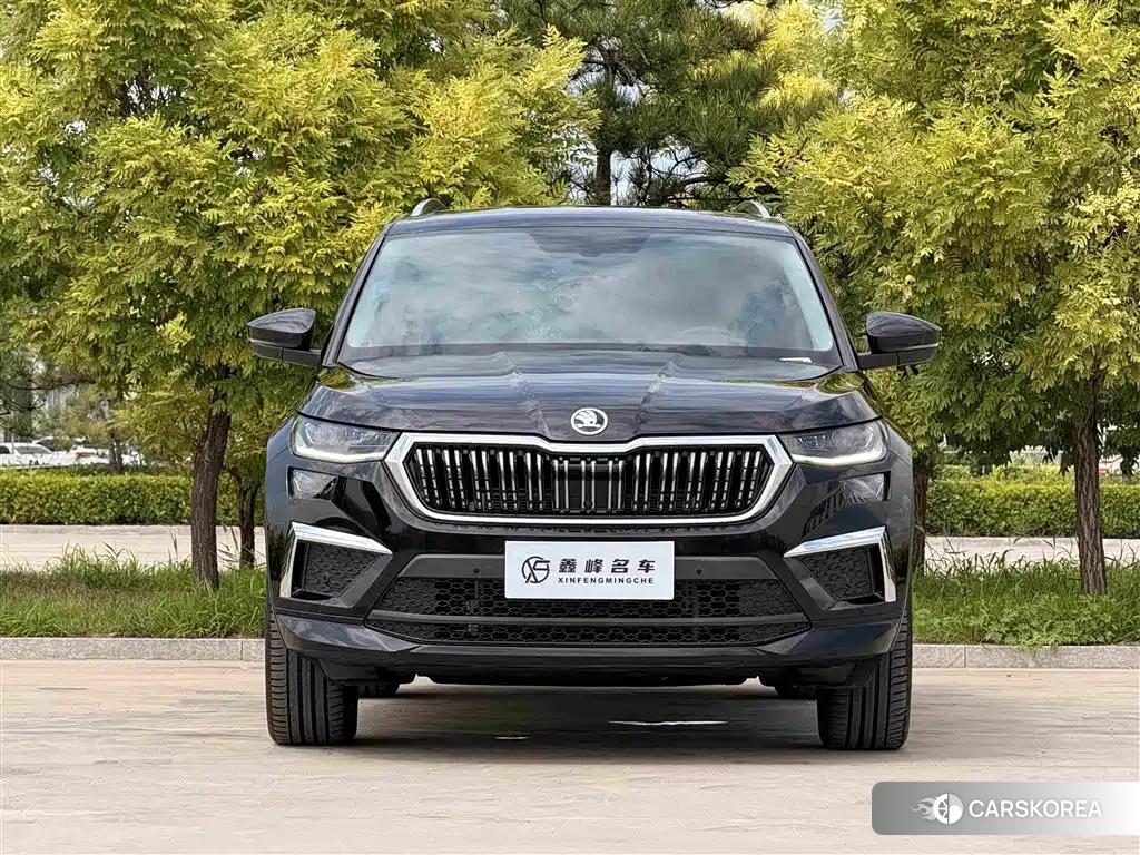 Skoda Kodiaq id 4589138 из Китая 12