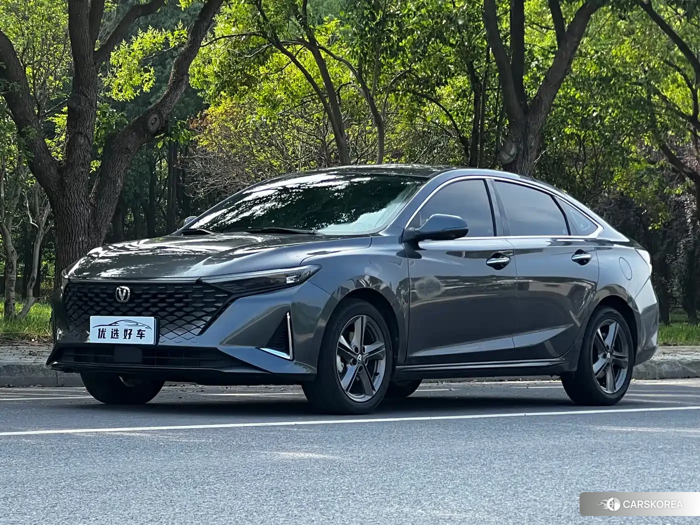 Chang'an Ruicheng PLUS id 4546396 из Китая 11