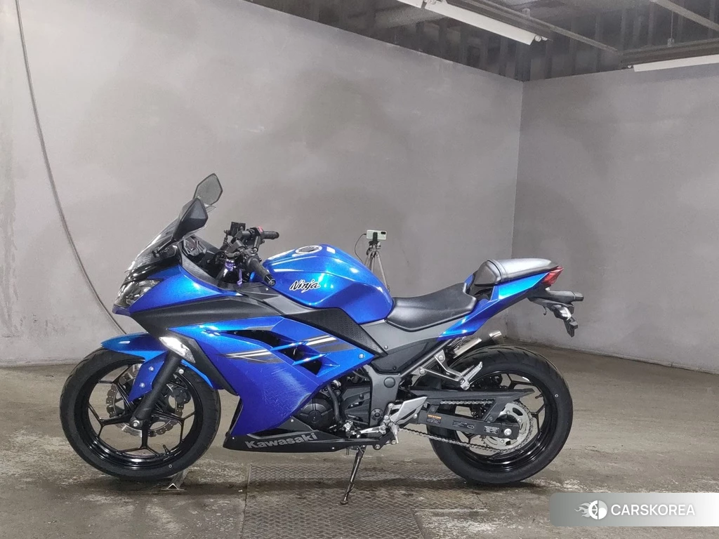 Проданный Kawasaki NINJA 250 2017 из Японии