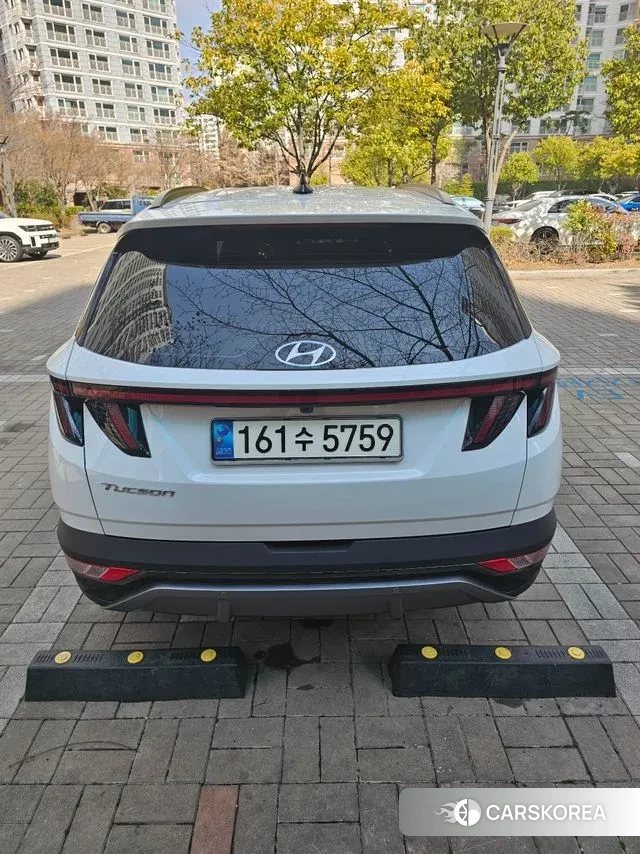 Hyundai Tucson Hybrid (NX4) 2023 Белый из Кореи, фото 3