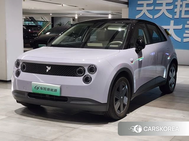 firefly firefly Unknown 2025 Фиолетовый из Китая, фото 2