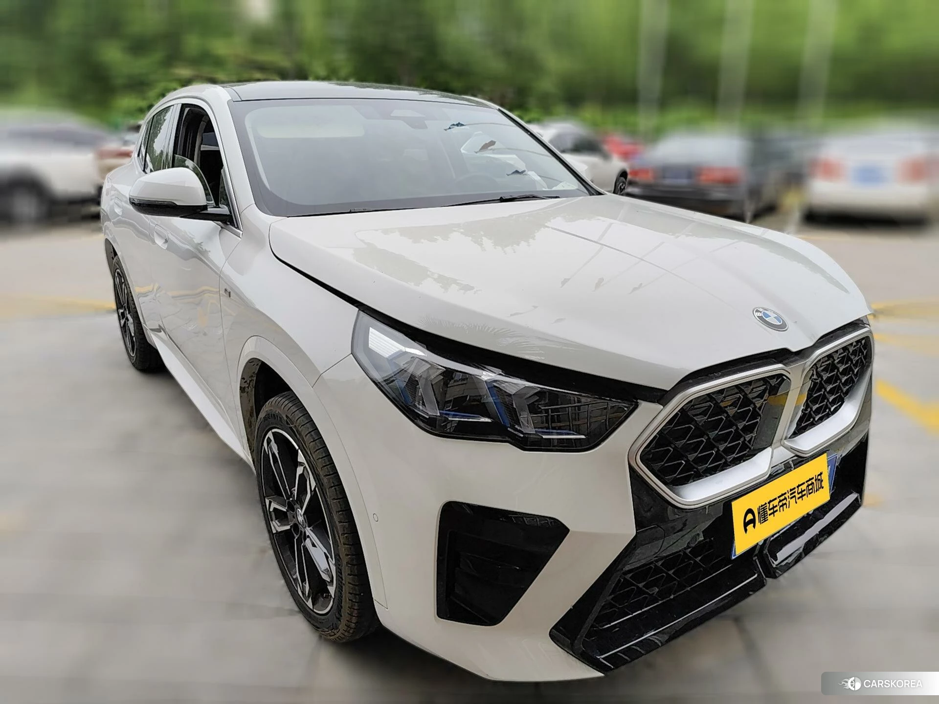 BMW X2 (import) id 4468186 из Китая 12