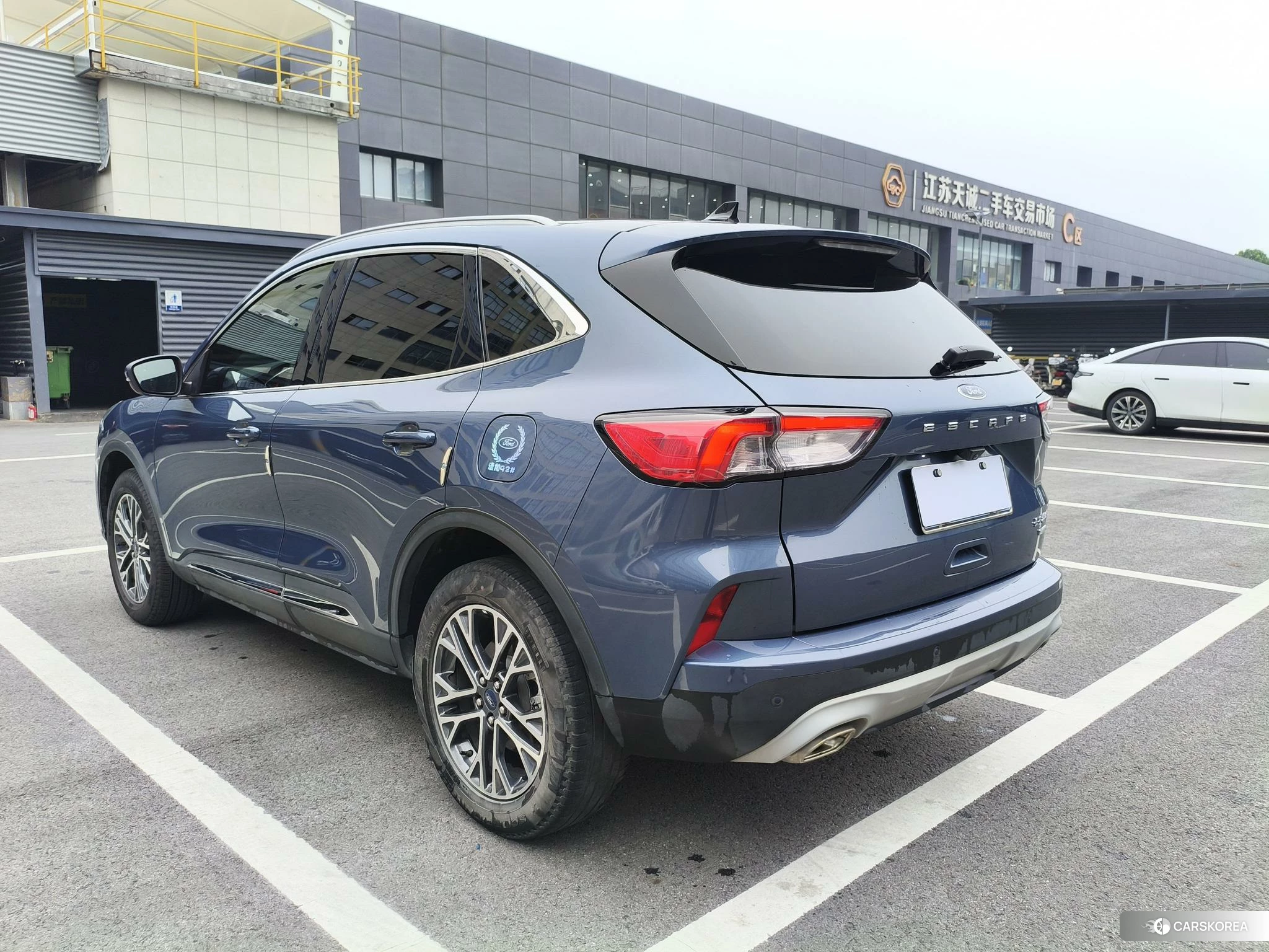 Ford Ruiji 2020 Синий из Китая, фото 3