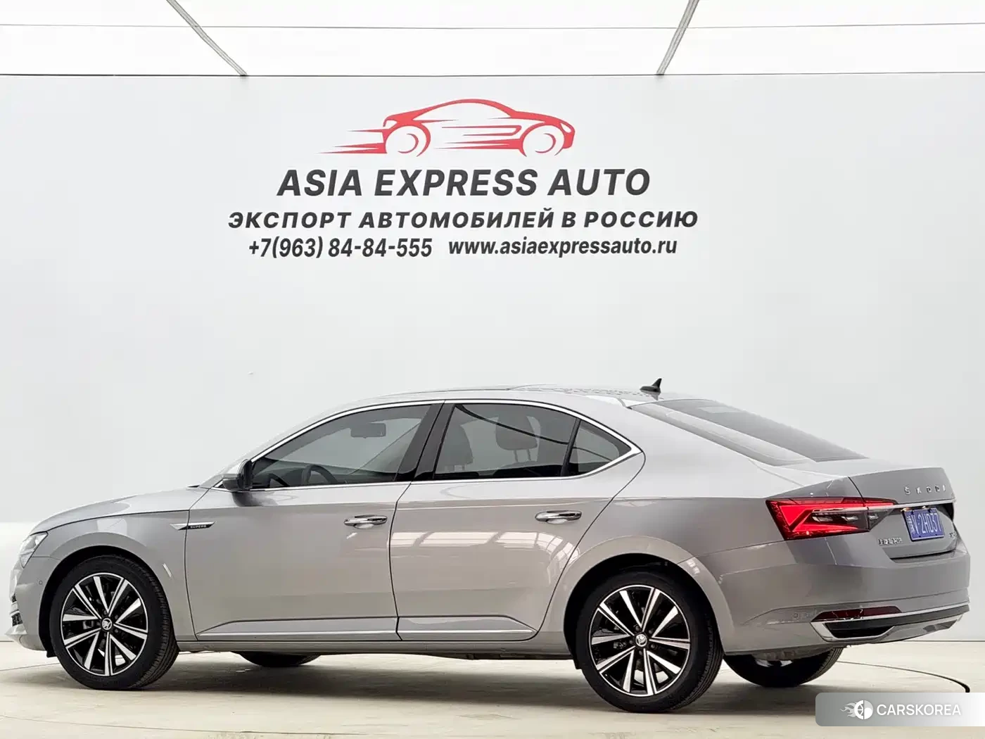 Skoda Speed pie id 4565177 из Китая 12