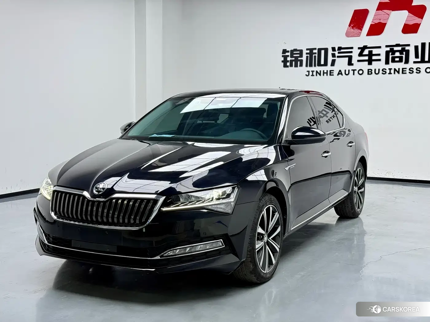 Skoda Speed pie id 4570400 из Китая 8
