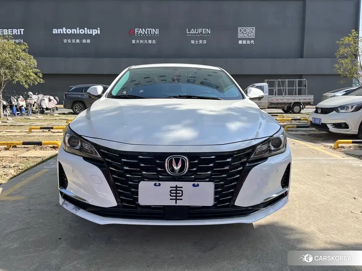 Chang'an Ruicheng CC id 4546169 из Китая 12