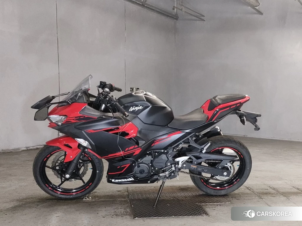 Проданный Kawasaki NINJA 250 2018 из Японии