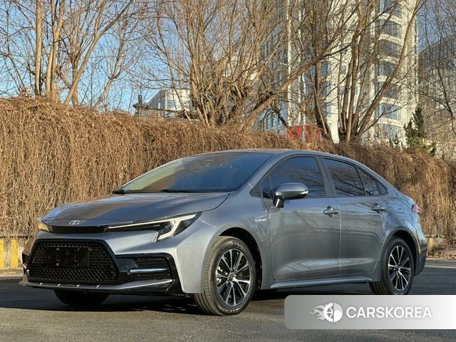 Toyota Lei Ling 2023 Серебристо-серый из Китая, фото 2