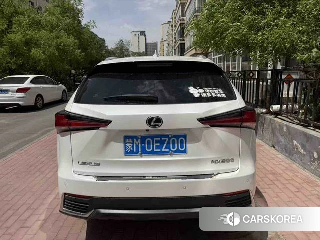 Lexus NX 2021 Белый из Китая, фото 6