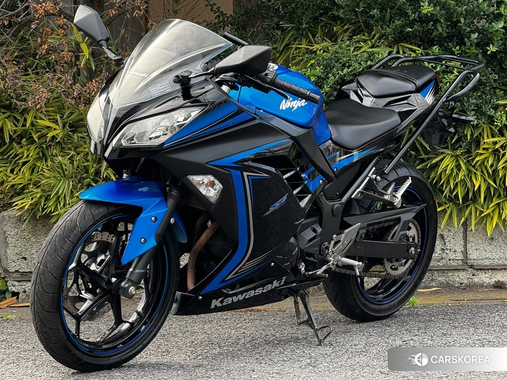 Проданный OTHER Ninja 250 SE 2015 из Японии, фото 2