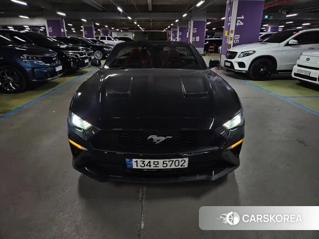 Ford Mustang id 3384798 из Кореи 12