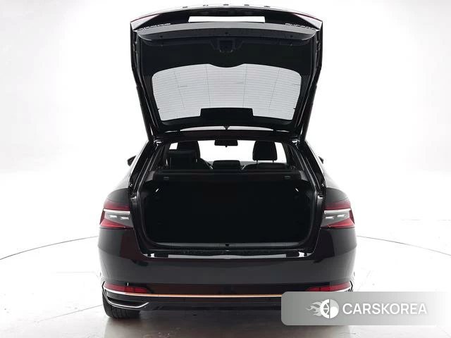 Skoda Speed pie id 4368038 из Китая 12