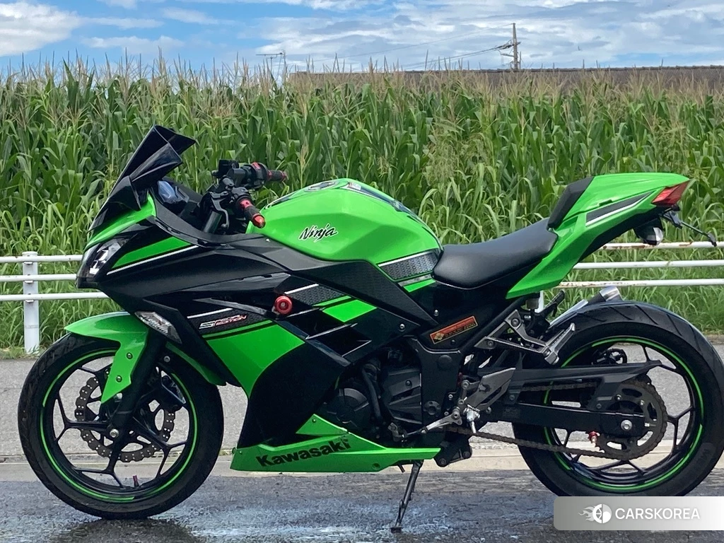 Проданный Kawasaki NINJA 250 2013 из Японии