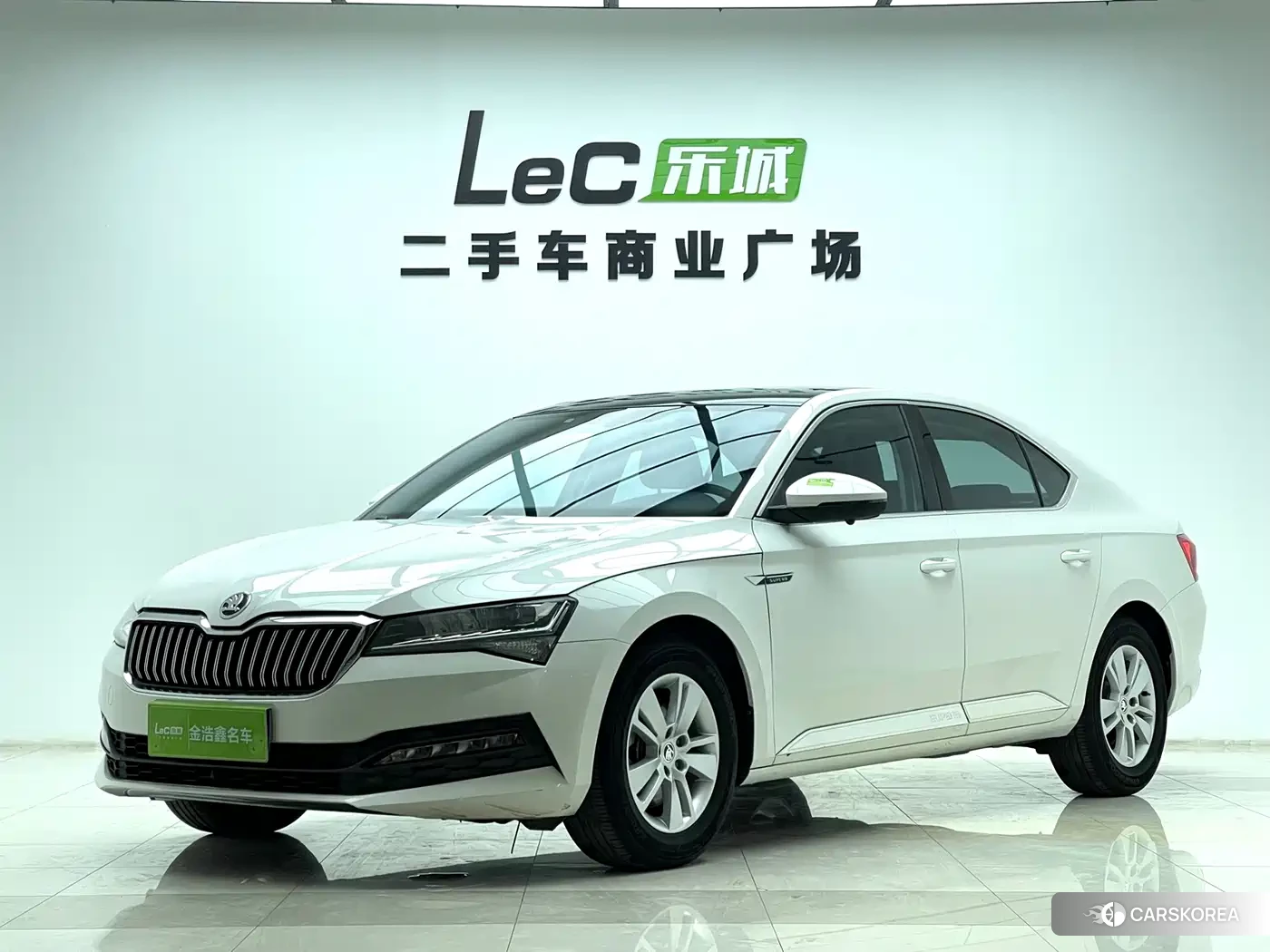 Skoda Speed pie id 4548217 из Китая 12