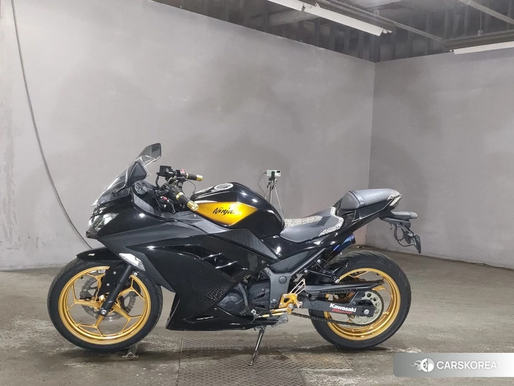 Проданный Kawasaki NINJA 250 2015 из Японии