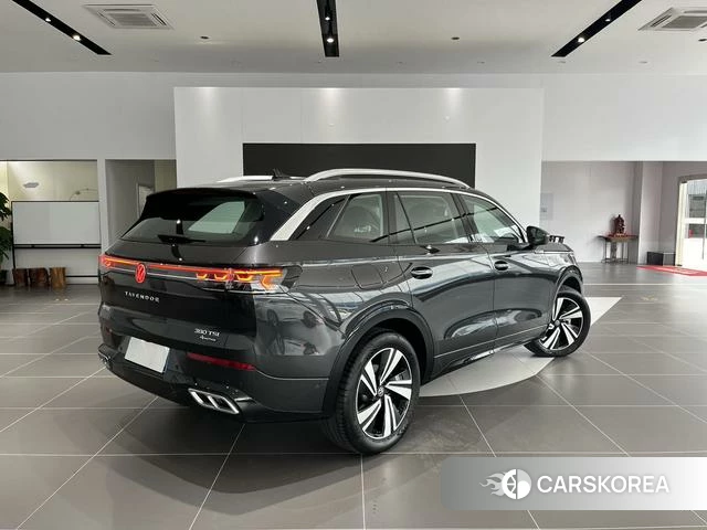 Volkswagen Range patrol id 4276640 из Китая 10
