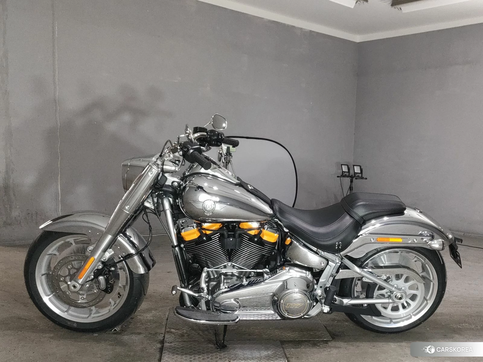 OTHER HARLEY FLSTFI1920 2025 из Японии