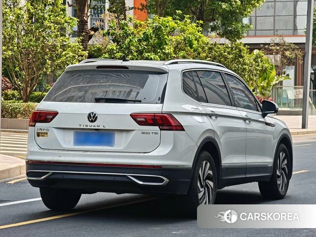 Volkswagen Tiguan L 2024 Белый из Китая, фото 4