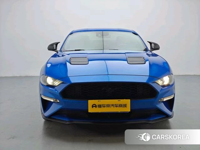 Ford Mustang id 4374579 из Китая 12