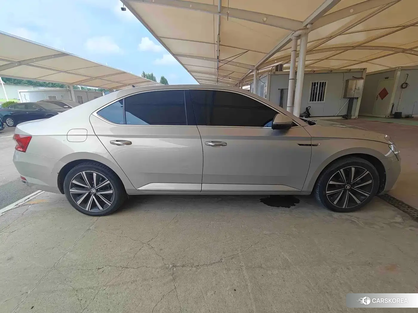 Skoda Speed pie id 4570581 из Китая 8
