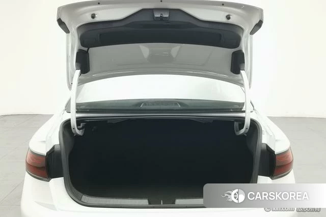 Volkswagen Sagitar id 4329100 из Китая 12