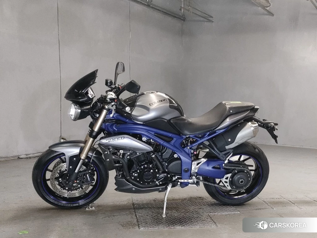 Проданный Triumph SPEED TRIPLE 2013 из Японии