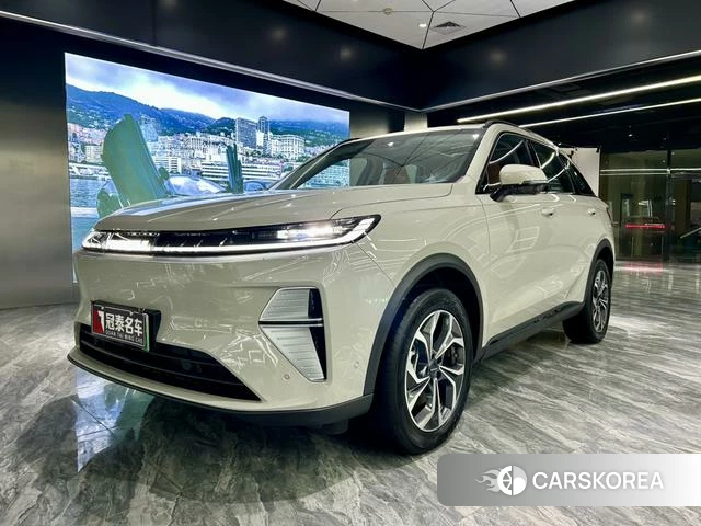 Haval Xiaolong MAX id 3919282 из Китая 12
