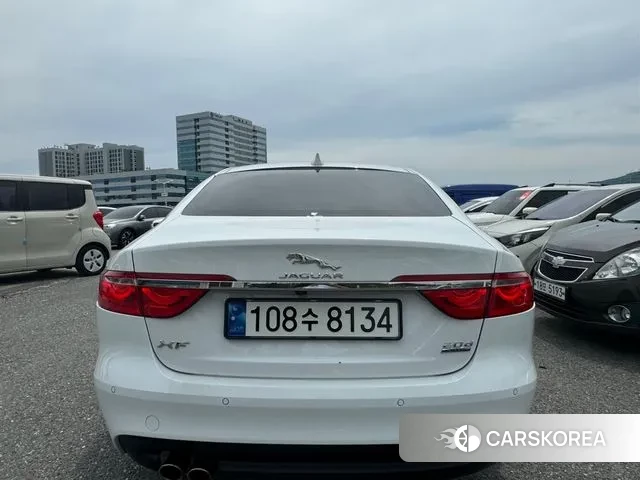 Jaguar XF (X260) 2019 Белый из Кореи, фото 3