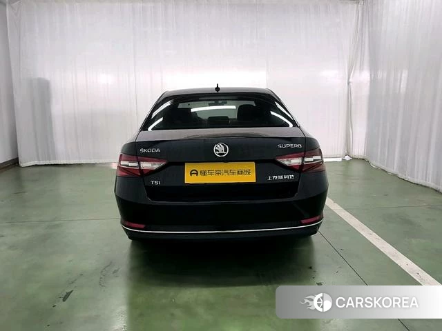 Skoda Speed pie id 4211522 из Китая 12