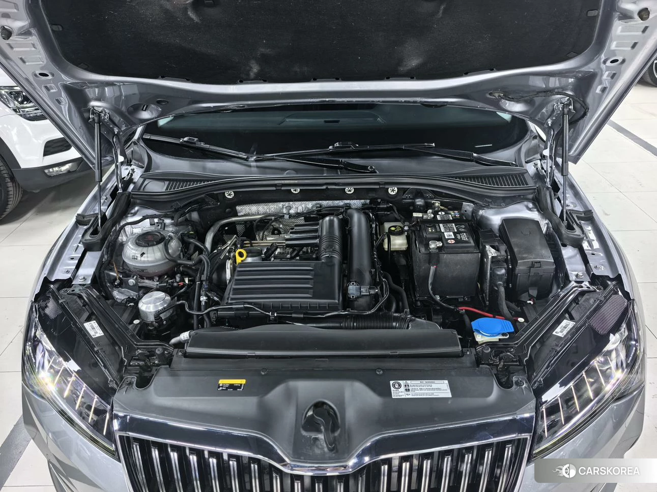 Skoda Speed pie id 4452178 из Китая 12