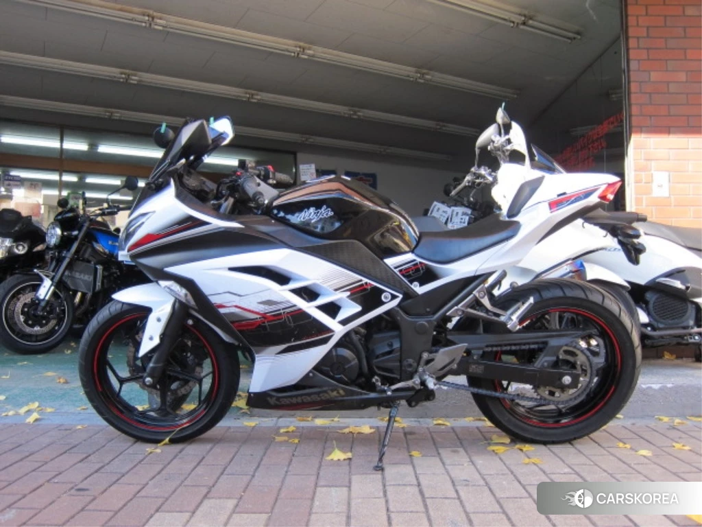 Проданный OTHER Ninja 250 ABS SE 2014 из Японии