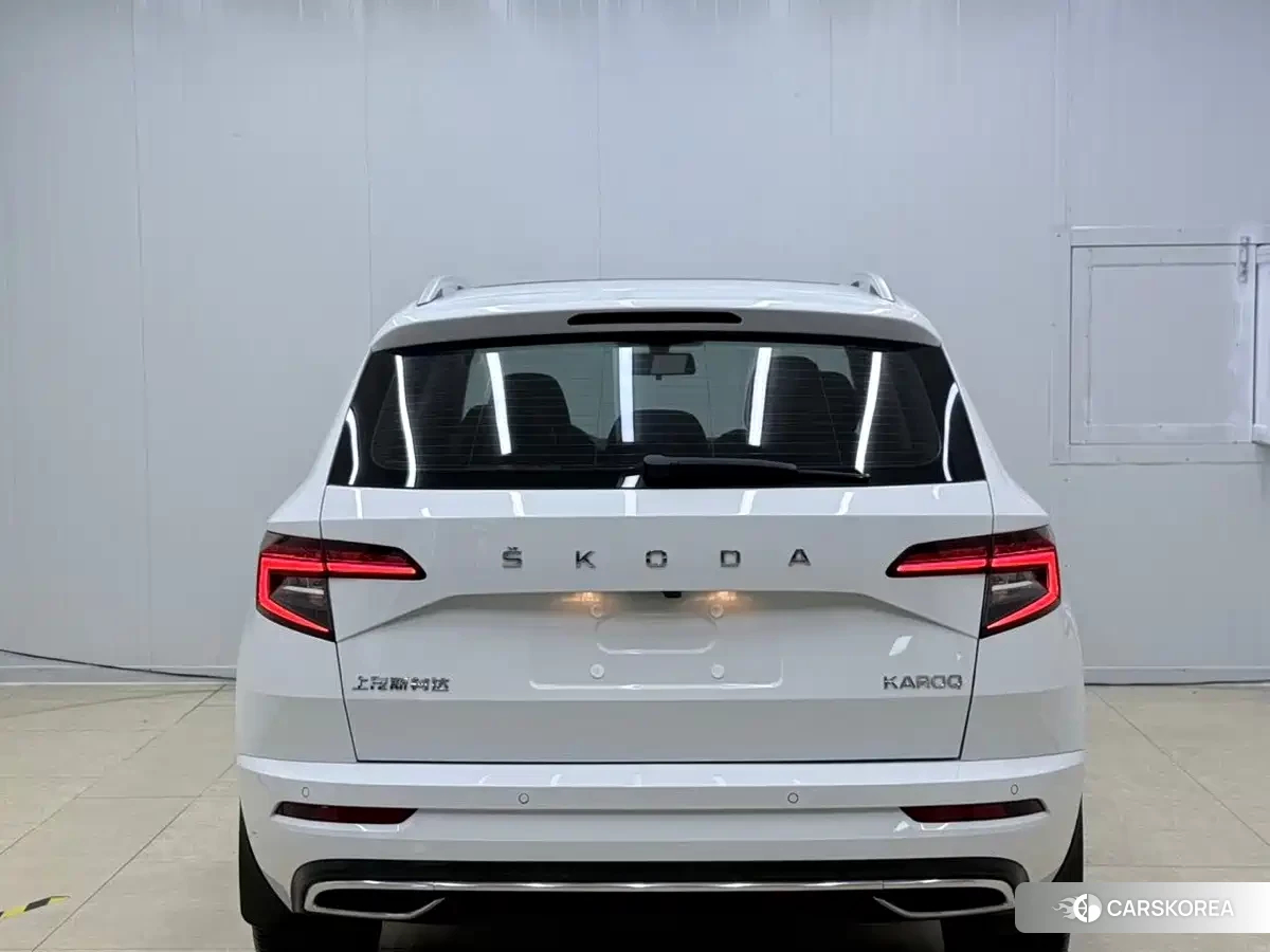 Skoda Karoq id 4686278 из Китая 12