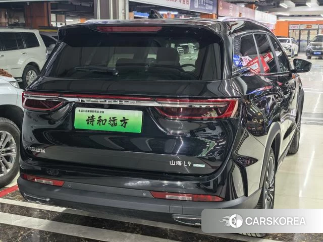 Jietu Shanhai L9 id 4207552 из Китая 11