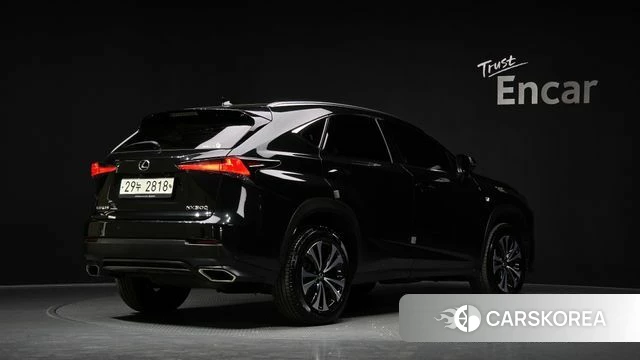 Lexus NX300 id 4225555 из Кореи 12