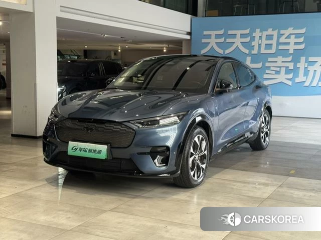 Ford Electric horse 2023 Синий из Китая, фото 2