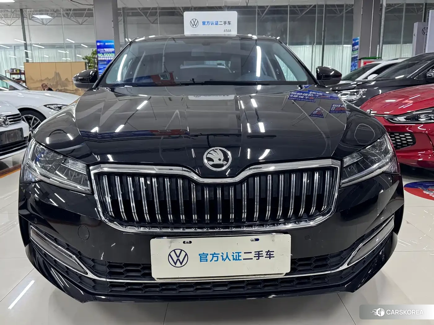 Skoda Speed pie 2024 Черный из Китая, фото 5