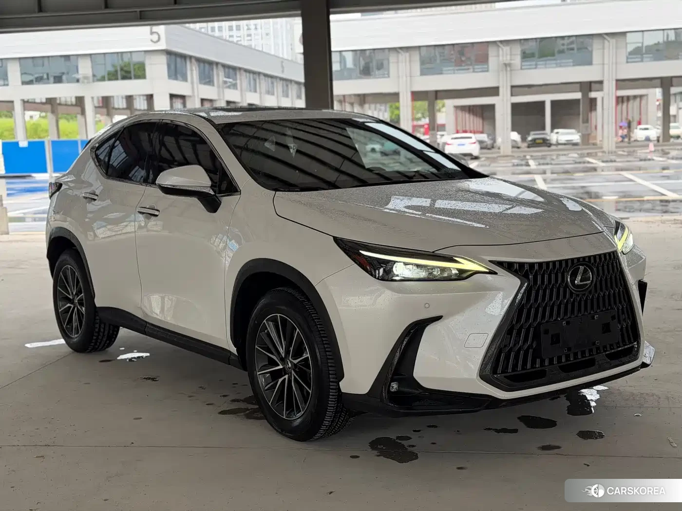 Lexus NX 2021 Белый из Китая, фото 6