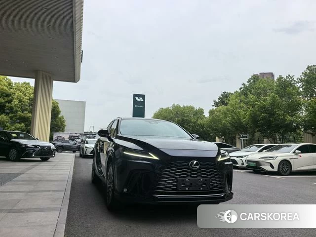 Lexus RX id 4290406 из Китая 9