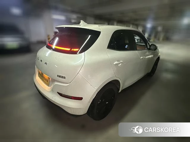 Euler Good cat 2024 Белый из Китая, фото 2