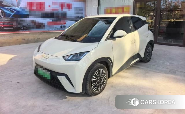 BYD Seagull 2025 Белый из Китая, фото 2
