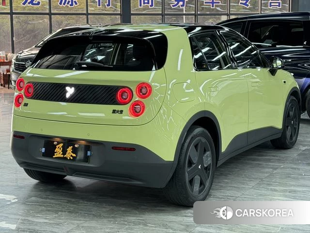 firefly firefly Unknown id 3983286 из Китая 7