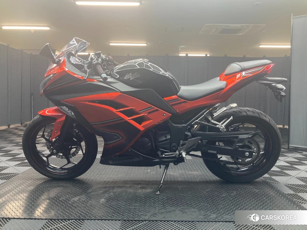 Проданный OTHER Ninja 250 SE 2014 из Японии, фото 2