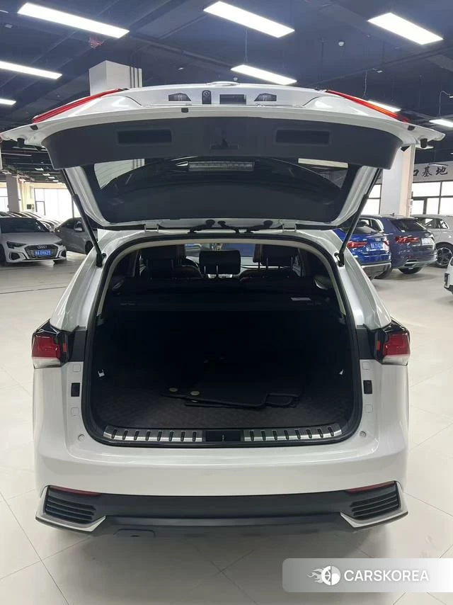 Lexus NX id 4218671 из Китая 12