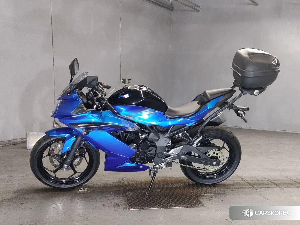 Проданный Kawasaki NINJA 250SL 2015 из Японии