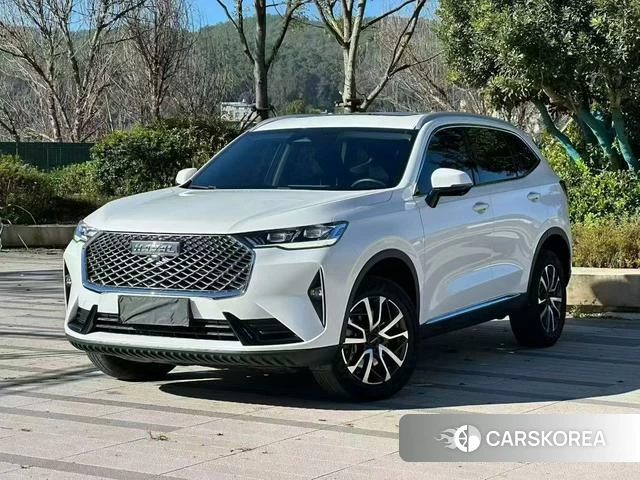 Haval H6 2022 Белый из Китая, фото 2