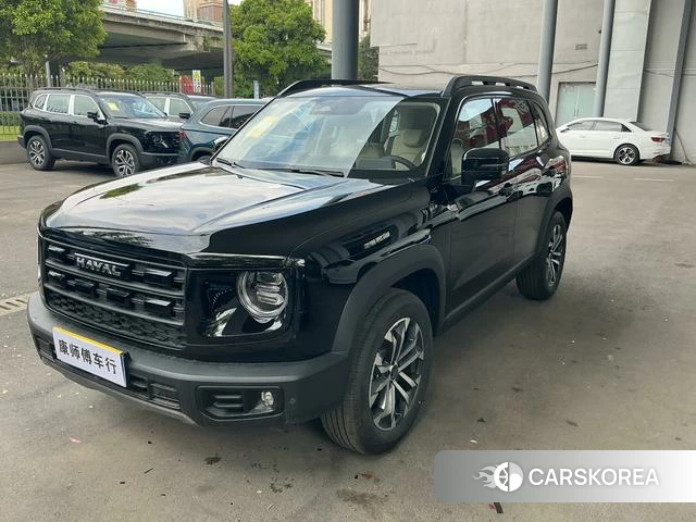 Haval Big dog 2026 Черный из Китая, фото 3