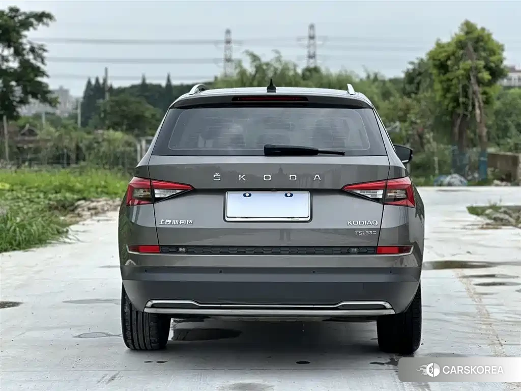 Skoda Kodiak id 4553660 из Китая 8