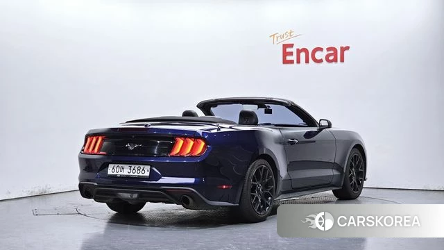 Ford Mustang id 4496621 из Кореи 11