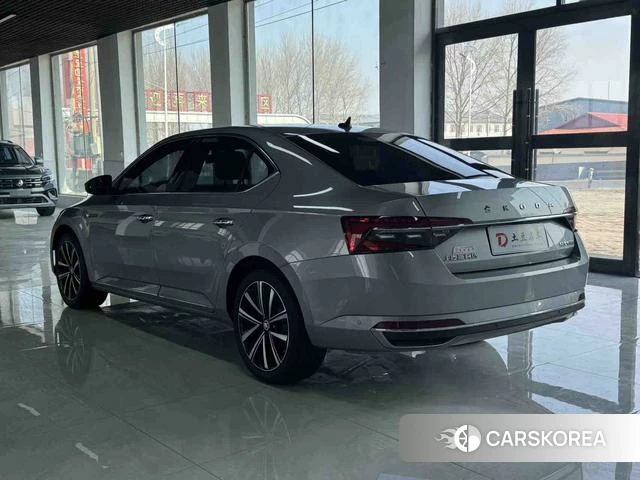 Skoda Speed pie id 3983465 из Китая 11